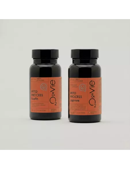 MITO PROCESS matin/soir