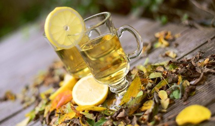 Soutenir et renforcer votre système immunitaire toute l'année.